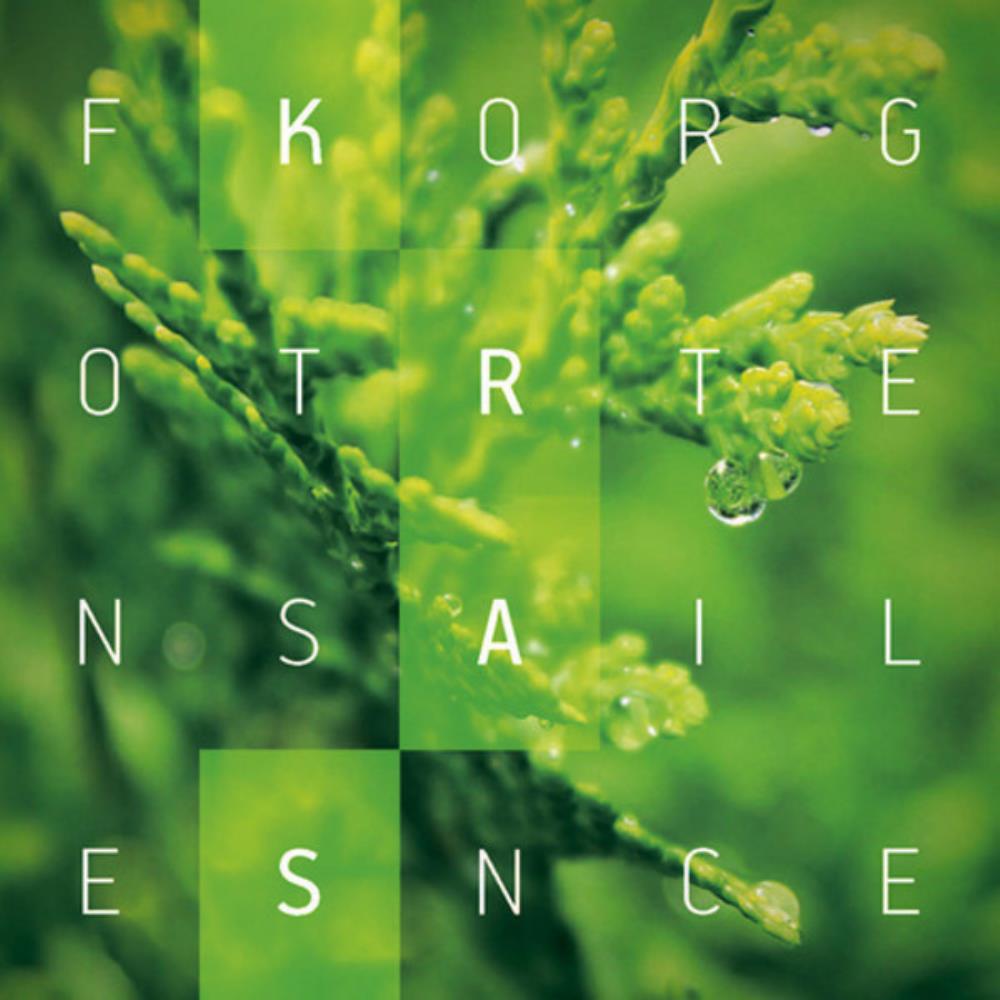 Forgotten Silence - Kras CD (album) cover