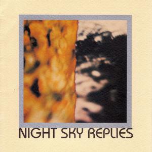 Robert Rich Night Sky Replies album cover
