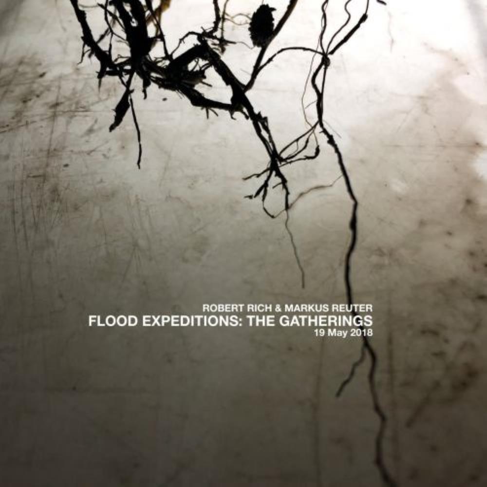 Robert Rich Flood Expeditions: The Gatherings album cover