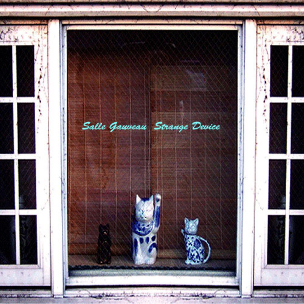Salle Gaveau - Strange Device CD (album) cover