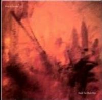 Time Of Orchids Much Too Much Fun album cover