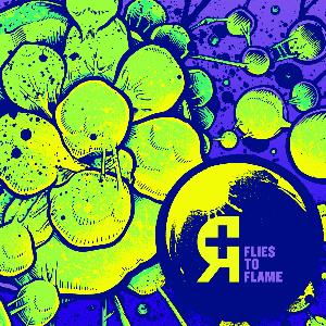 Rosetta - Flies to Flame CD (album) cover