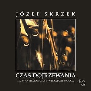 Jzef Skrzek Czas Dojrzewania album cover