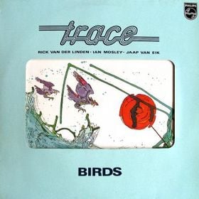 Trace Birds album cover