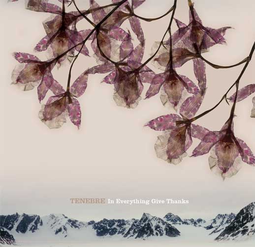 Tenebre - In Everything Give Thanks CD (album) cover