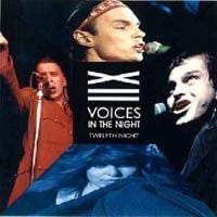 Twelfth Night Voices In The Night album cover