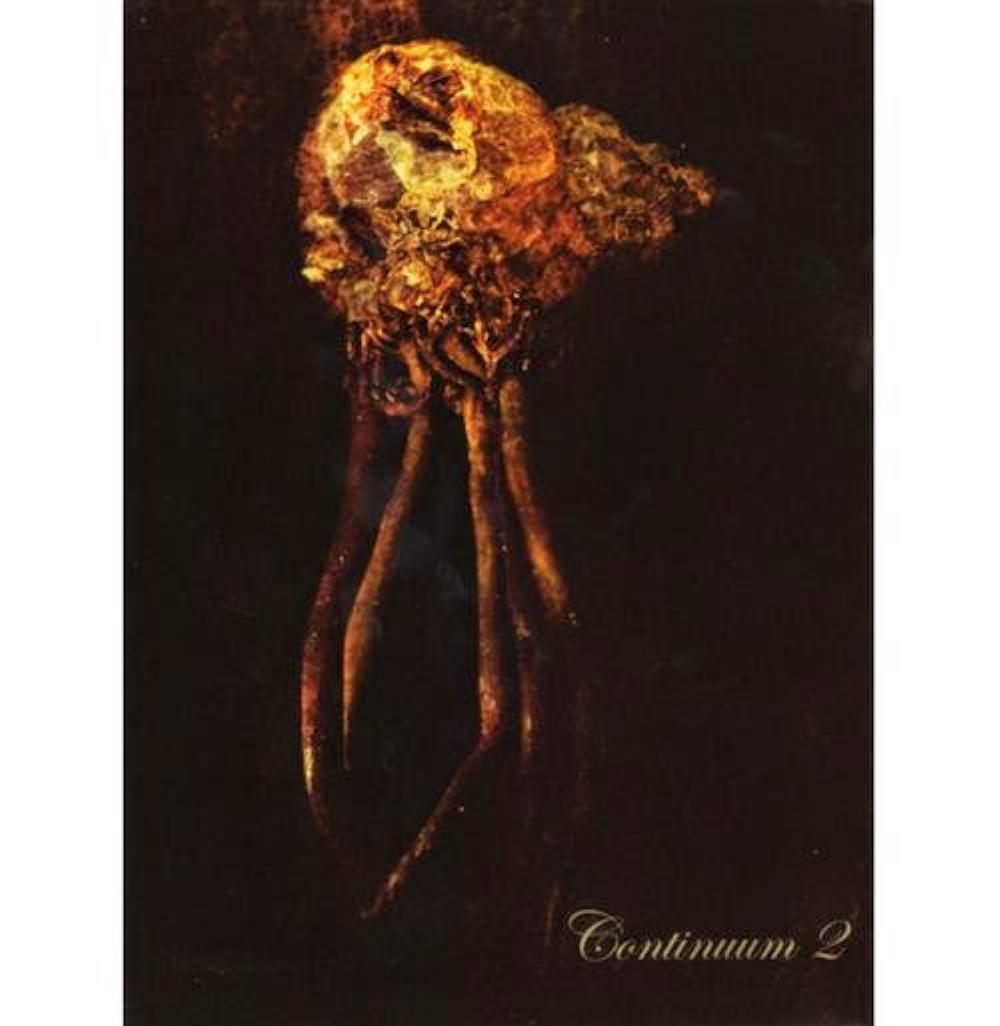 Bass Communion - Continuum 2 CD (album) cover