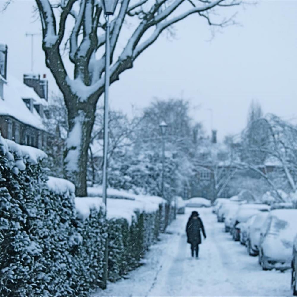 Bass Communion Thief of Snow (1999) album cover