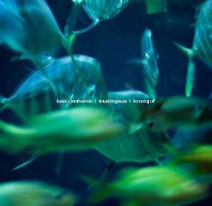 Bass Communion - BCVSMGCD CD (album) cover