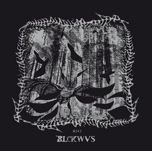 Blackwaves 0130 album cover