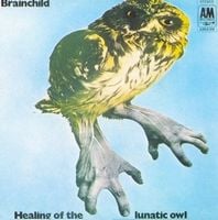 Brainchild - Healing Of The Lunatic Owl CD (album) cover