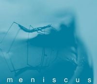 Meniscus Absence of I album cover