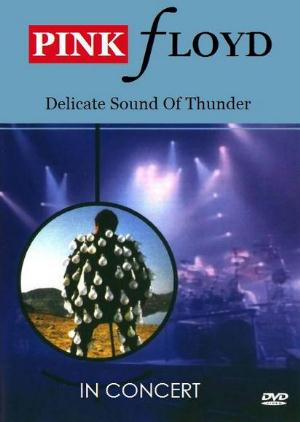 Pink Floyd - In Concert - Delicate Sound Of Thunder CD (album) cover