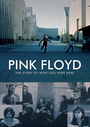 Pink Floyd The Story of Wish You Were Here album cover