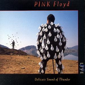 Pink Floyd Delicate Sound of Thunder album cover