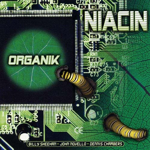 Niacin - Organik CD (album) cover