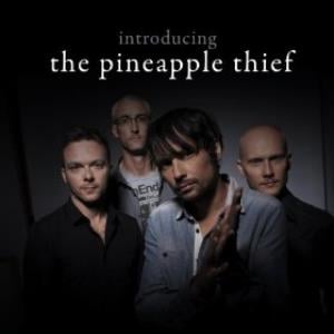 The Pineapple Thief - Introducing  ...The Pineapple Thief CD (album) cover