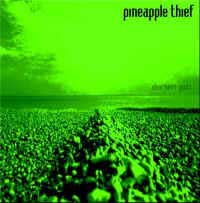 The Pineapple Thief - Sherbet Gods CD (album) cover