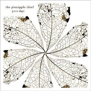 The Pineapple Thief - 3000 Days CD (album) cover