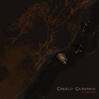 Ciruelo Cilindrico C'est Fini album cover