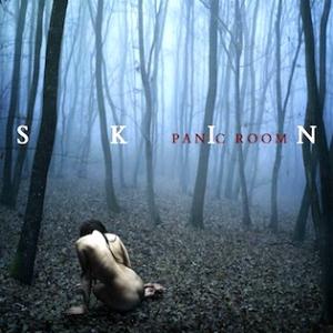Panic Room - Skin CD (album) cover