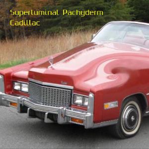 Superluminal Pachyderm - Cadillac CD (album) cover