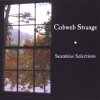 Cobweb Strange Seamless Selections (Compilation) album cover