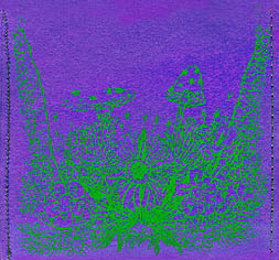 Feathers Gnomeozoic Live album cover