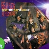 Bela Fleck and The Flecktones - Three Flew Over the Cuckoo's Nest CD (album) cover