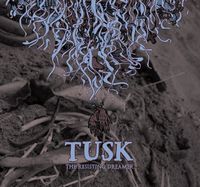 Tusk - The Resisting Dreamer CD (album) cover