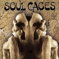 Soul Cages - Craft CD (album) cover