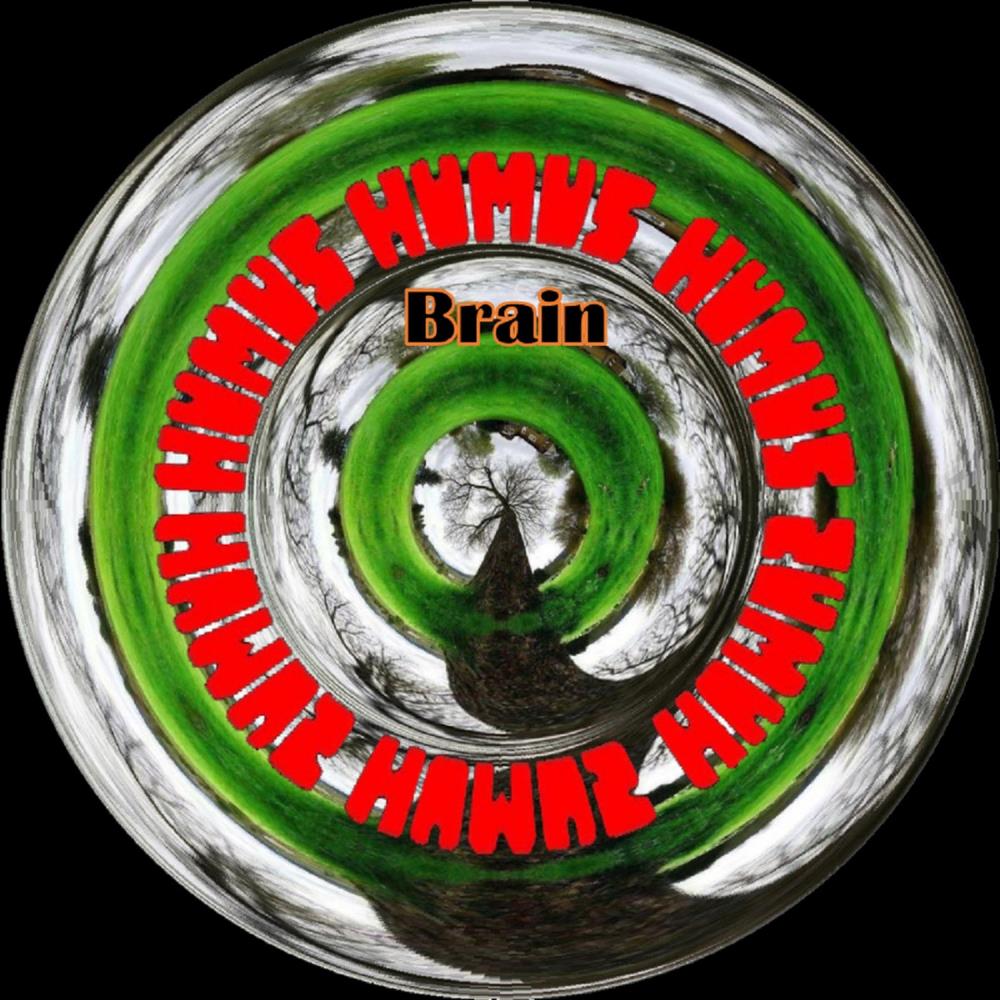 Humus - Brain CD (album) cover
