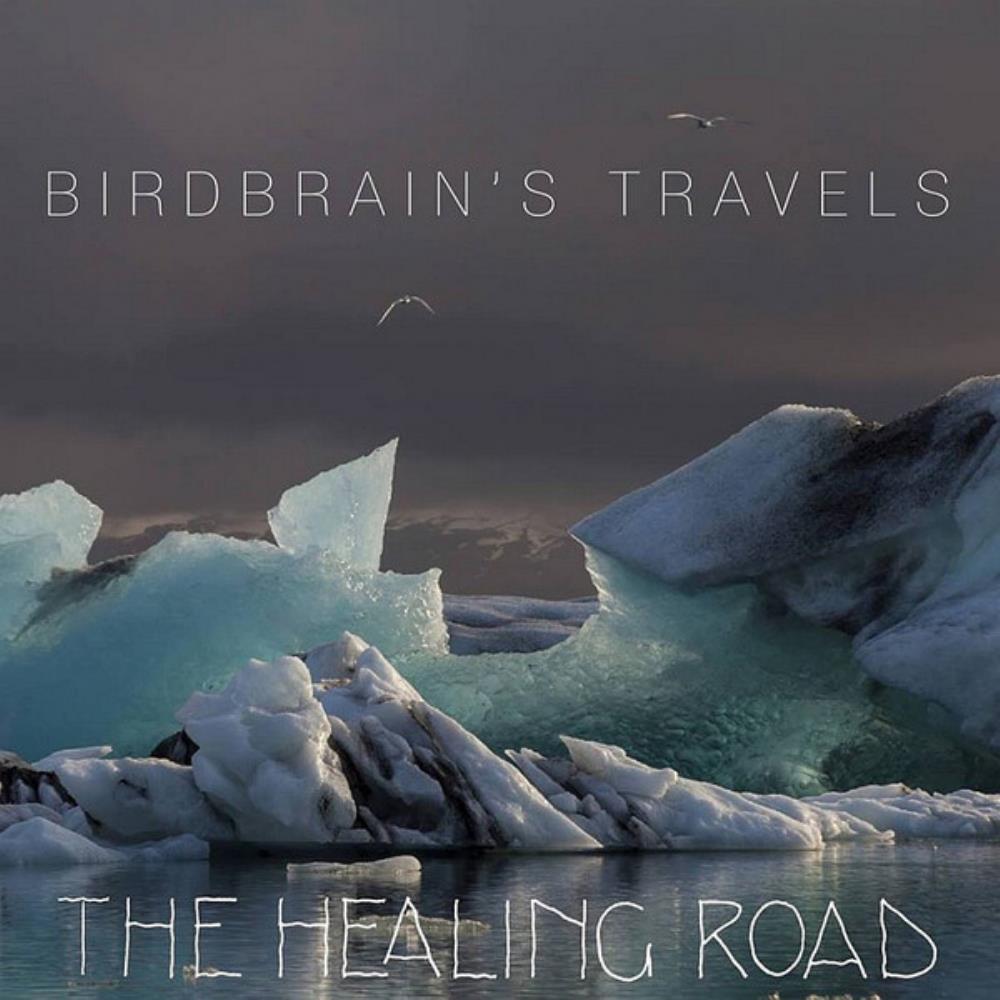 The Healing Road - Birdbrain's Travels CD (album) cover