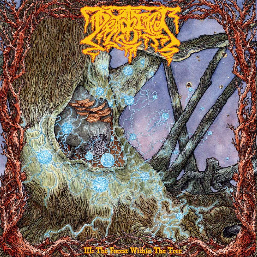 Deadbird - III: The Forest Within the Tree CD (album) cover