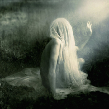 Spleen Arcana - The Field Where She Died CD (album) cover