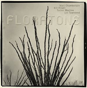 Bill Frisell - Floratone [Matt Chamberlain, Bill Frisell, Tucker Martine, Lee Townsend] CD (album) cover