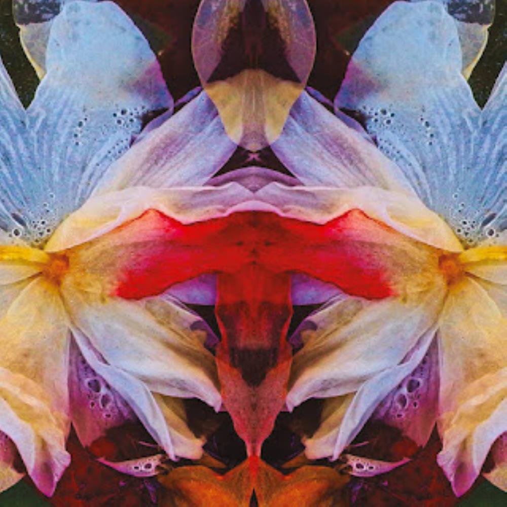 Liquid Sound Company Cosmic Worlds (with Herd of Instinct) album cover