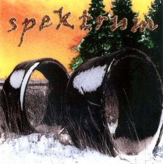 Spektrum Spektrum album cover