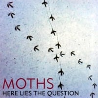 Moths - Here Lies the Question CD (album) cover