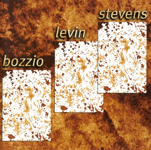 Bozzio Levin Stevens Situation Dangerous album cover