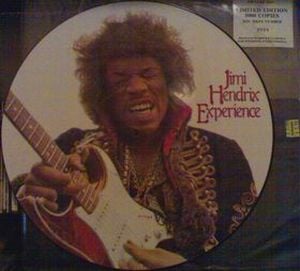 Jimi Hendrix - Jimi Hendrix Experience Picture Disc CD (album) cover