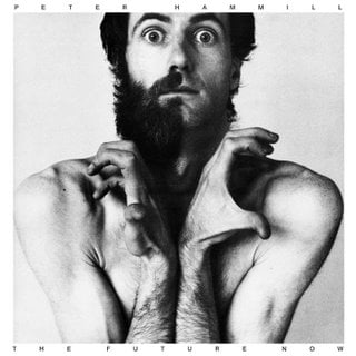 Peter Hammill - The Future Now CD (album) cover