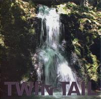 Twin Tail - Everything Is Permitted CD (album) cover