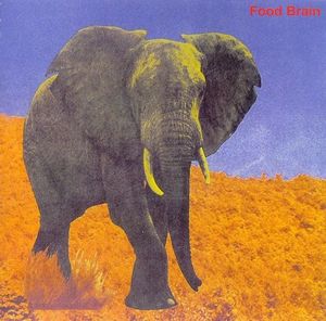 Food Brain - Bansan (Social Gathering) CD (album) cover