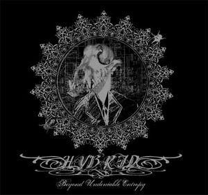 Hybrid - Beyond Undeniable Entropy CD (album) cover