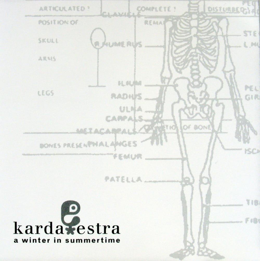 Karda Estra A Winter In Summertime album cover