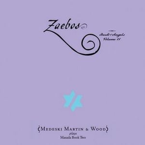 Medeski  Martin & Wood - Zaebos CD (album) cover