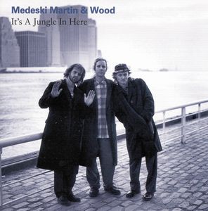 Medeski  Martin & Wood It's A Jungle In Here album cover