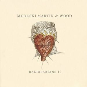 Medeski  Martin & Wood - Radiolarians II CD (album) cover