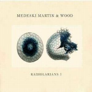 Medeski  Martin & Wood - Radiolarians I CD (album) cover